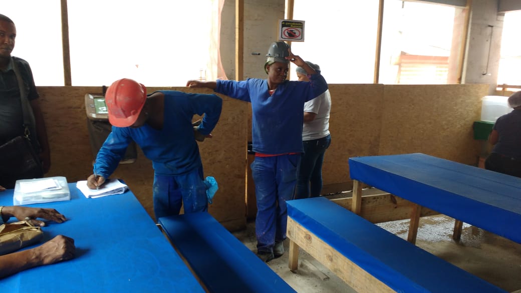 PHOTO-2018-11-29-11-35-12