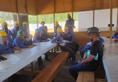 Ibirapitanga: Trabalhadores (as) paralisaram atividades na Estrela Construções